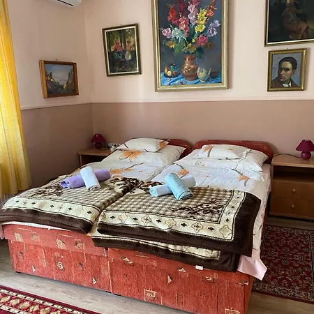 Guest house Karoly Vendeghaz